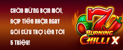 Khuyến Mãi 016